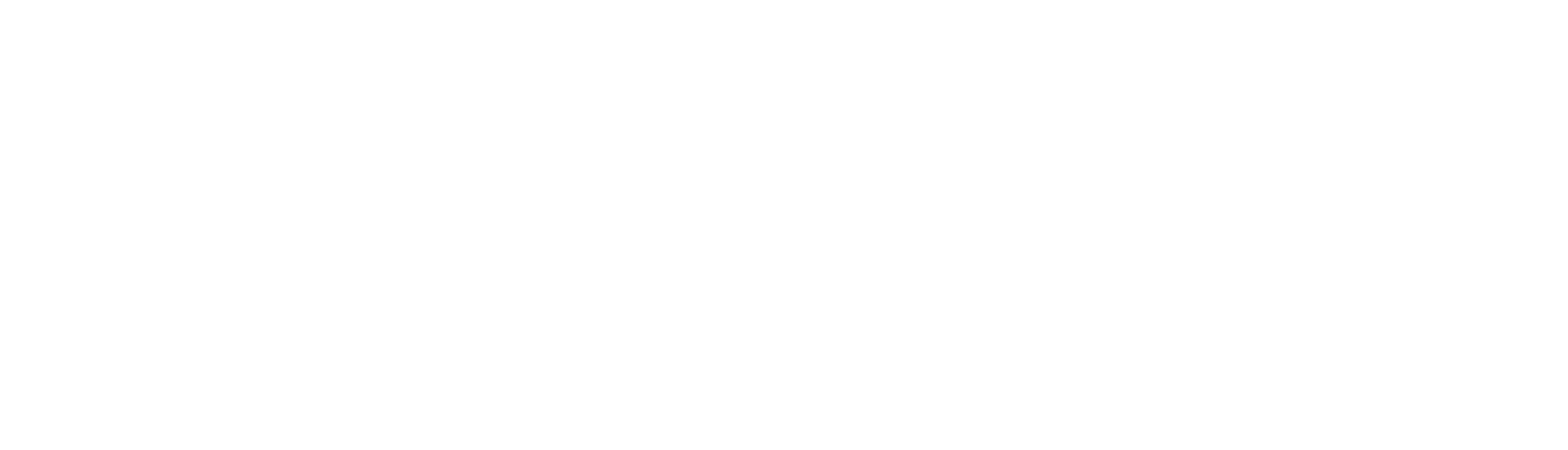 Logo Exaegis Corporate Development